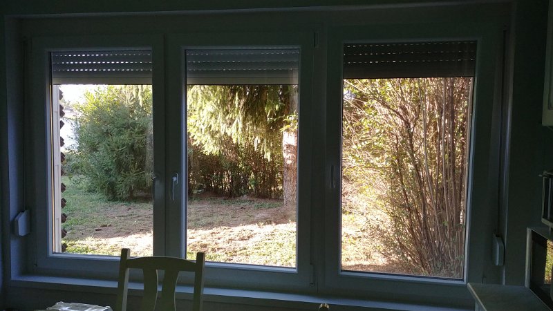 20191018_152253_HDR.jpg